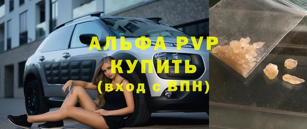индика Дмитров