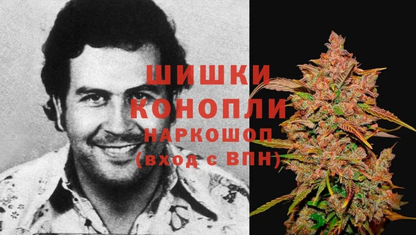 мяу мяу мука Гусь-Хрустальный