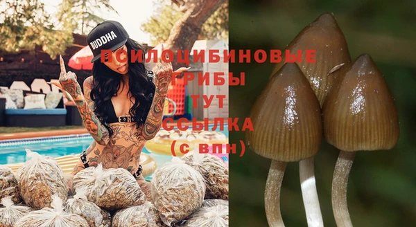 кокаин Гусиноозёрск