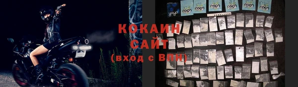 мяу мяу мука Гусь-Хрустальный