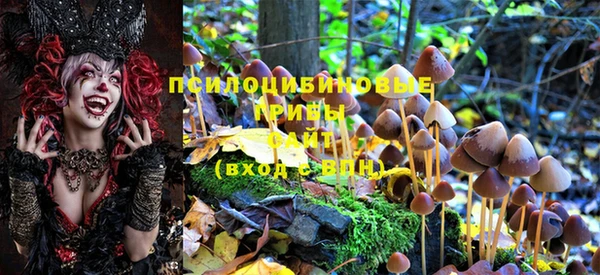мяу мяу мука Гусь-Хрустальный