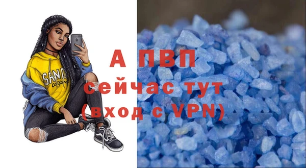 мяу мяу мука Гусь-Хрустальный