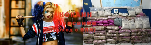 прущая мука Гусев